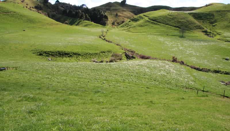 1457 East Road, Toko