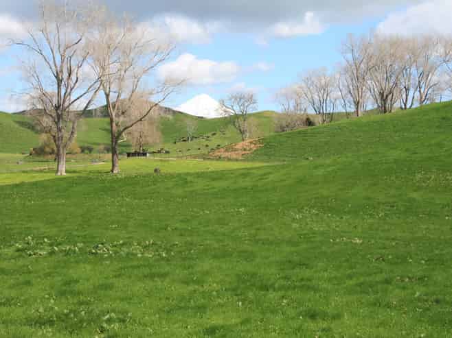 1457 East Road, Toko