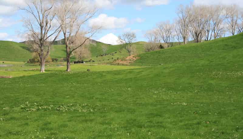 1457 East Road, Toko