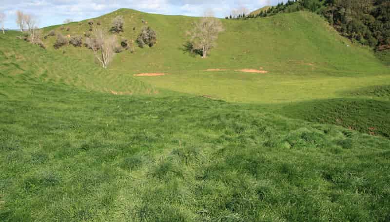 1457 East Road, Toko