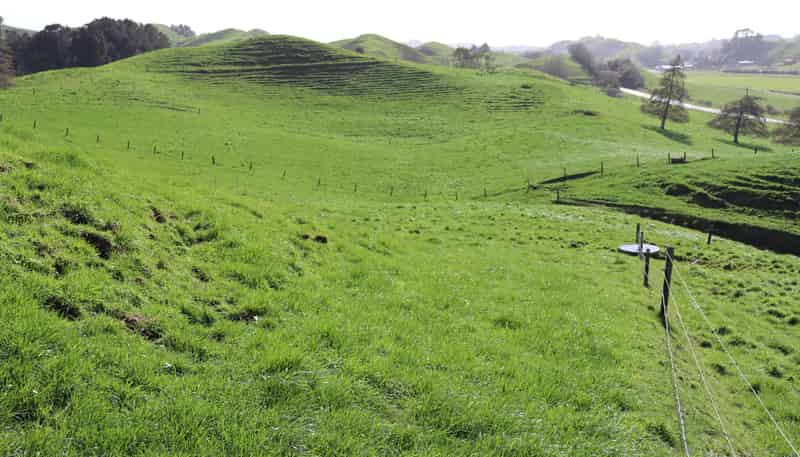 1457 East Road, Toko