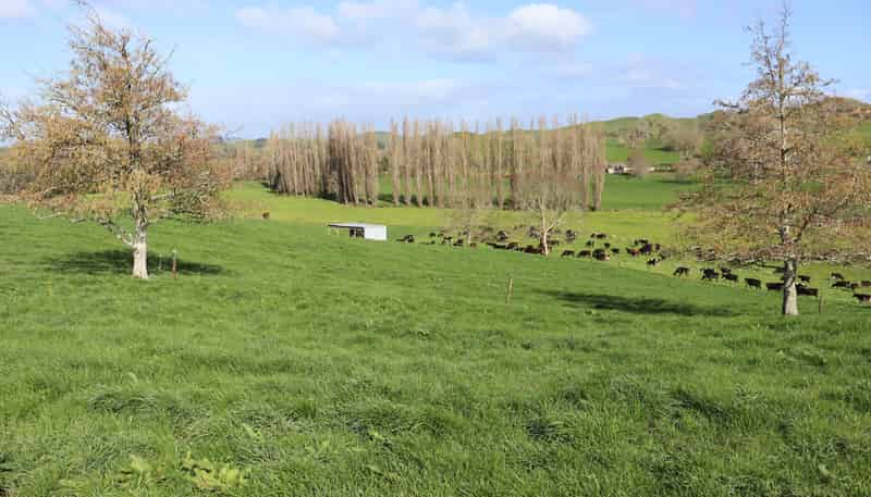 1457 East Road, Toko