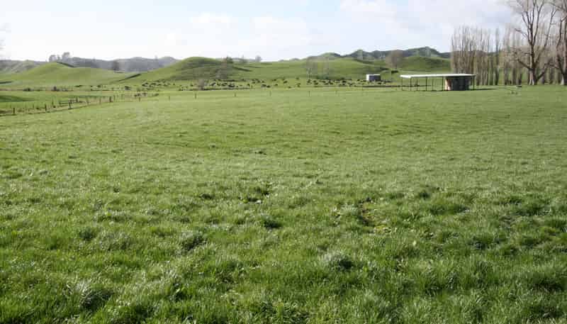 1457 East Road, Toko