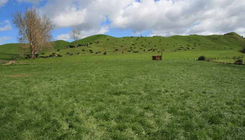 1457 East Road, Toko