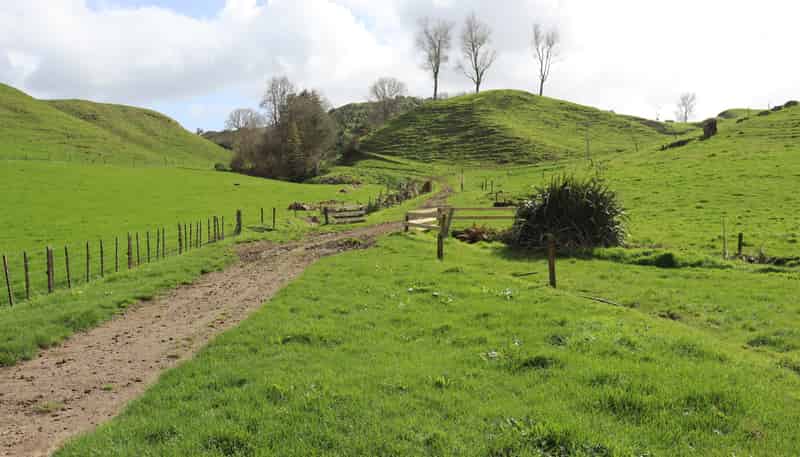 1457 East Road, Toko