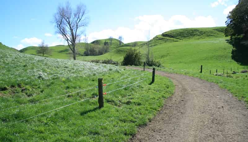 1457 East Road, Toko