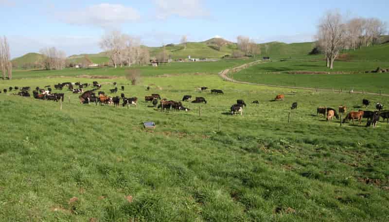 1457 East Road, Toko