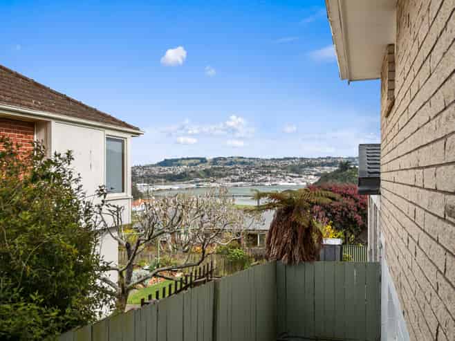 29 Jeffery Street, Andersons Bay