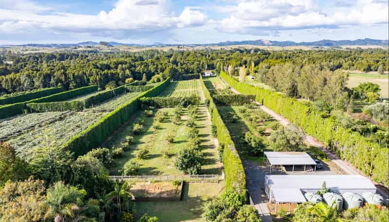 440 Mangakahia Road, Maungatapere