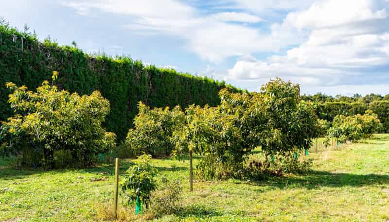 440 Mangakahia Road, Maungatapere