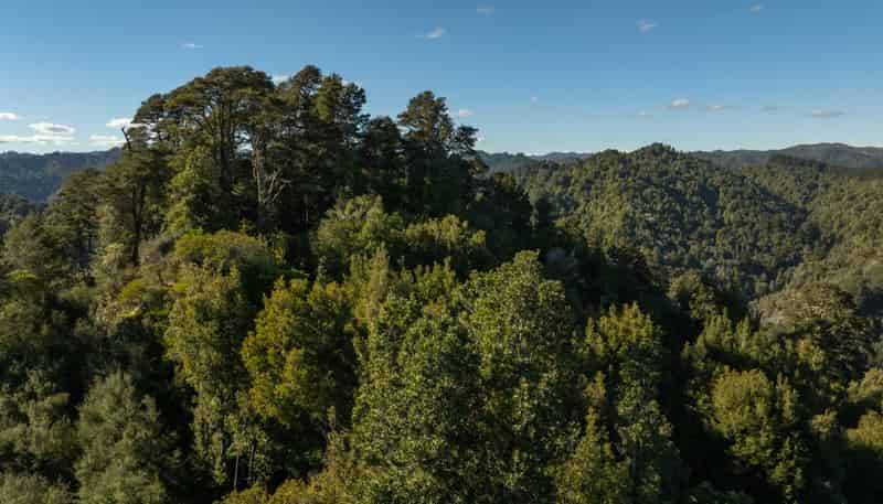 3008 Waitotara Valley Road, Waitotara