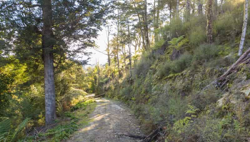 3008 Waitotara Valley Road, Waitotara