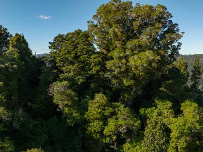 3008 Waitotara Valley Road, Waitotara
