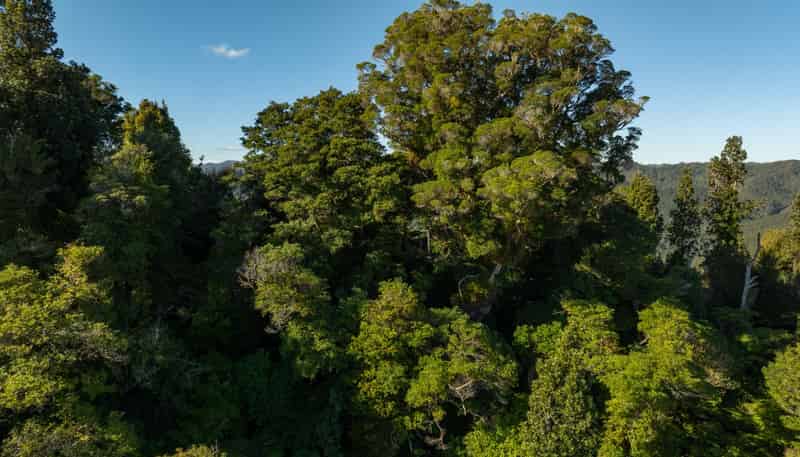 3008 Waitotara Valley Road, Waitotara