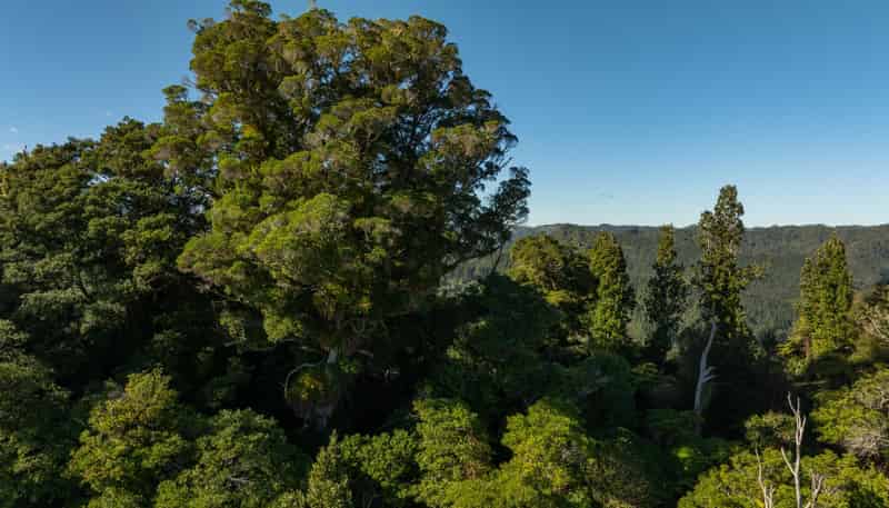 3008 Waitotara Valley Road, Waitotara