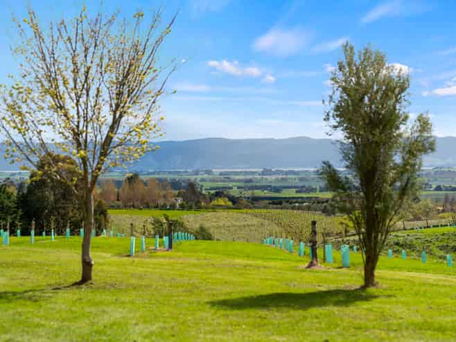 121 Southdown Drive, Martinborough