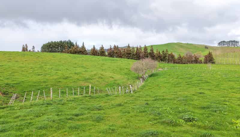 405 Falls Road, Waerenga