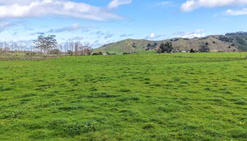 405 Falls Road, Waerenga