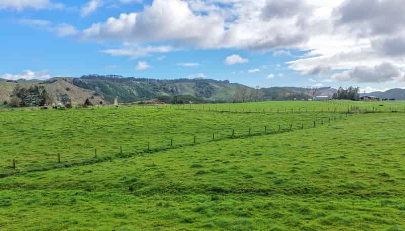 405 Falls Road, Waerenga