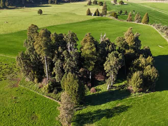 208 Otara Road, Ohingaiti