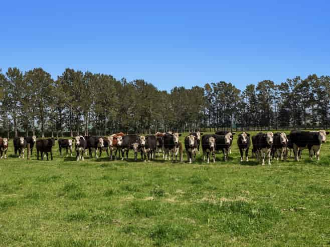 96A and 14 Hallett Road, Otakiri