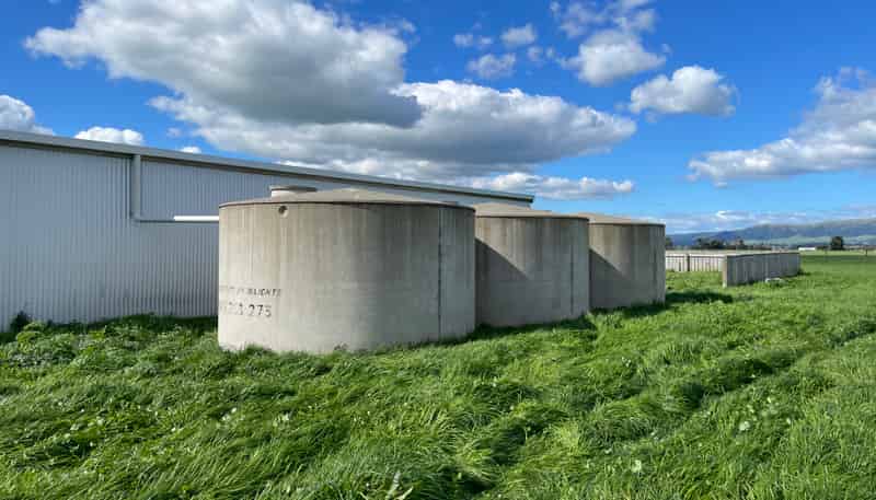 565A Tane Road, Opiki