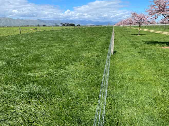565A Tane Road, Opiki