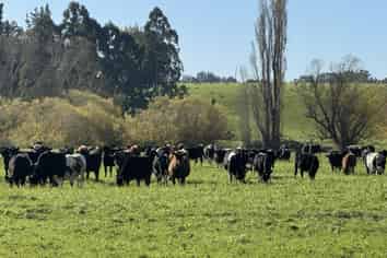 136 Coe Road, Lovells Flat