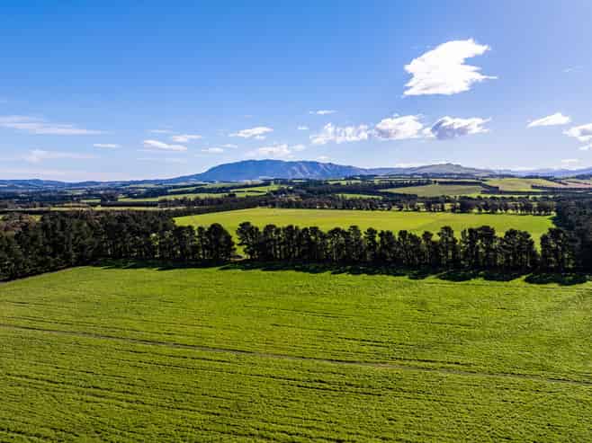 381 Georges Road, Amberley