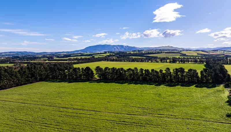 381 Georges Road, Amberley