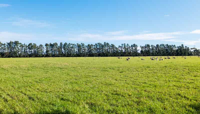 381 Georges Road, Amberley