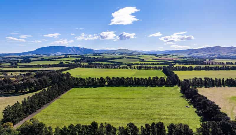 381 Georges Road, Amberley