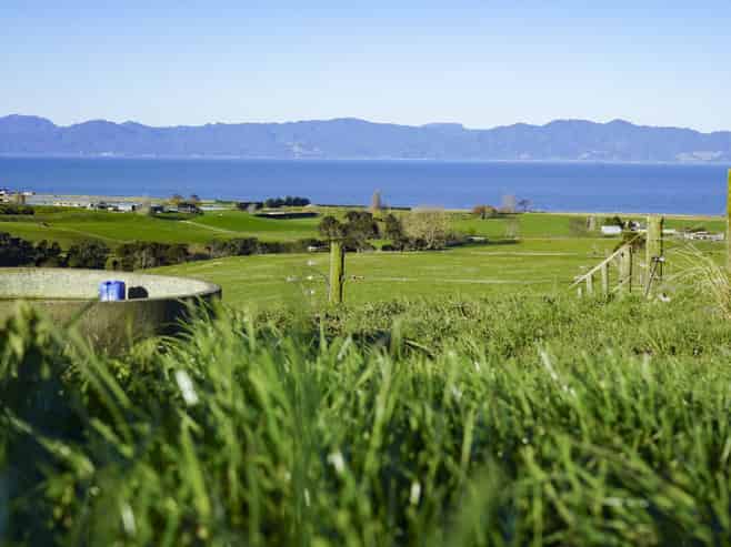1433 East Coast Road, Kaiaua