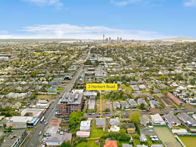 3 Herbert Road, Mount Eden