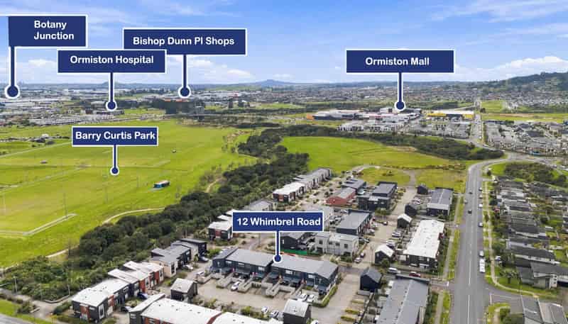 12 Whimbrel Road, Flat Bush