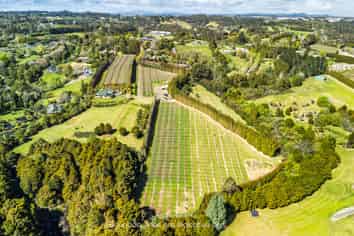 43e Blue Gum Lane, Kerikeri