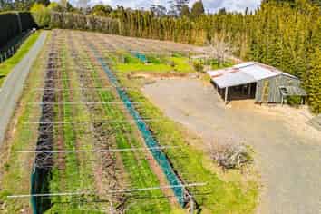 43e Blue Gum Lane, Kerikeri