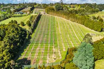 43e Blue Gum Lane, Kerikeri