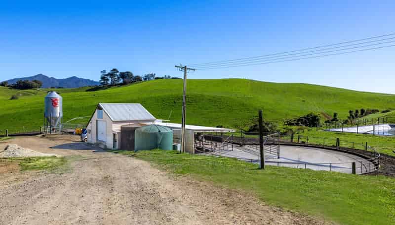 44 Te Papatapu Road, Raglan