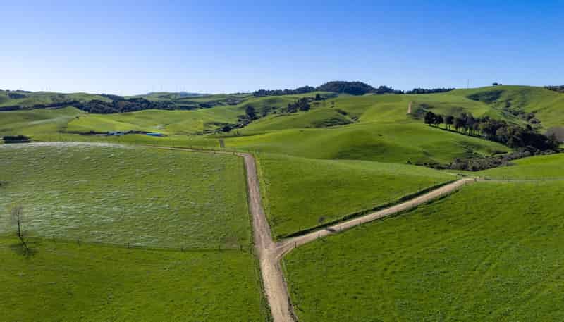 44 Te Papatapu Road, Raglan