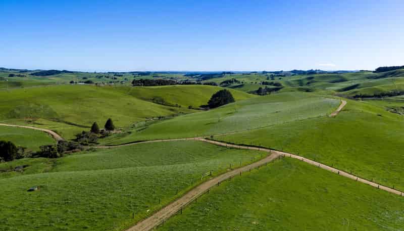 44 Te Papatapu Road, Raglan