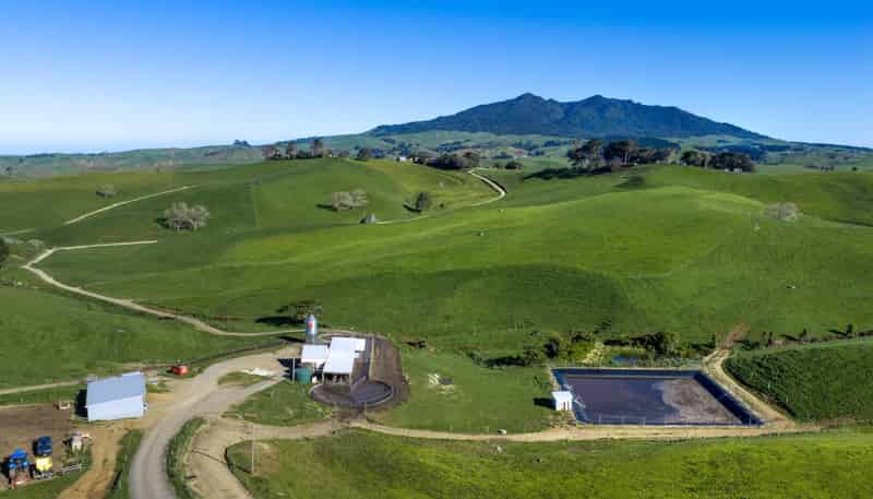 44 Te Papatapu Road, Raglan