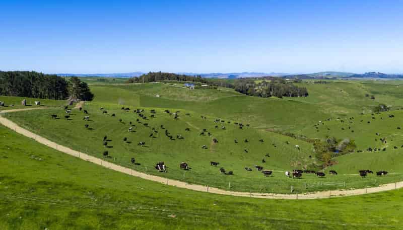 44 Te Papatapu Road, Raglan