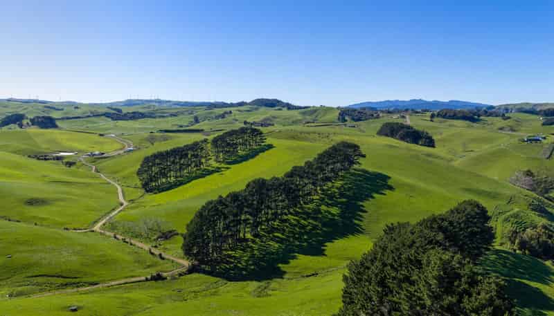 44 Te Papatapu Road, Raglan