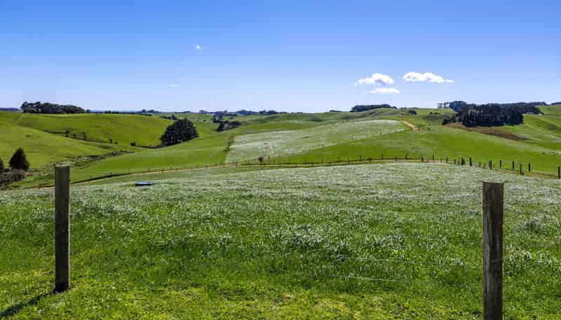 44 Te Papatapu Road, Raglan