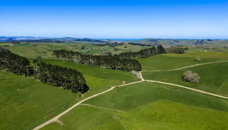 44 Te Papatapu Road, Raglan