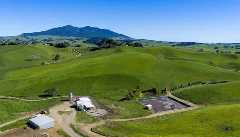 44 Te Papatapu Road, Raglan