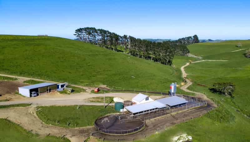 44 Te Papatapu Road, Raglan