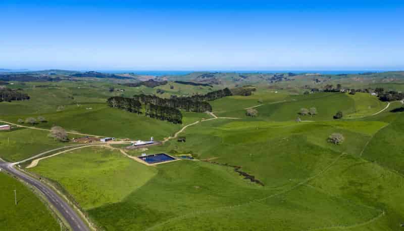 44 Te Papatapu Road, Raglan