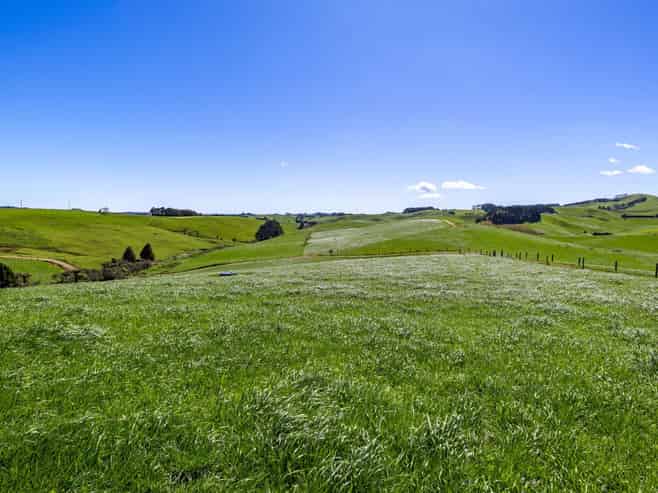 44 Te Papatapu Road, Raglan